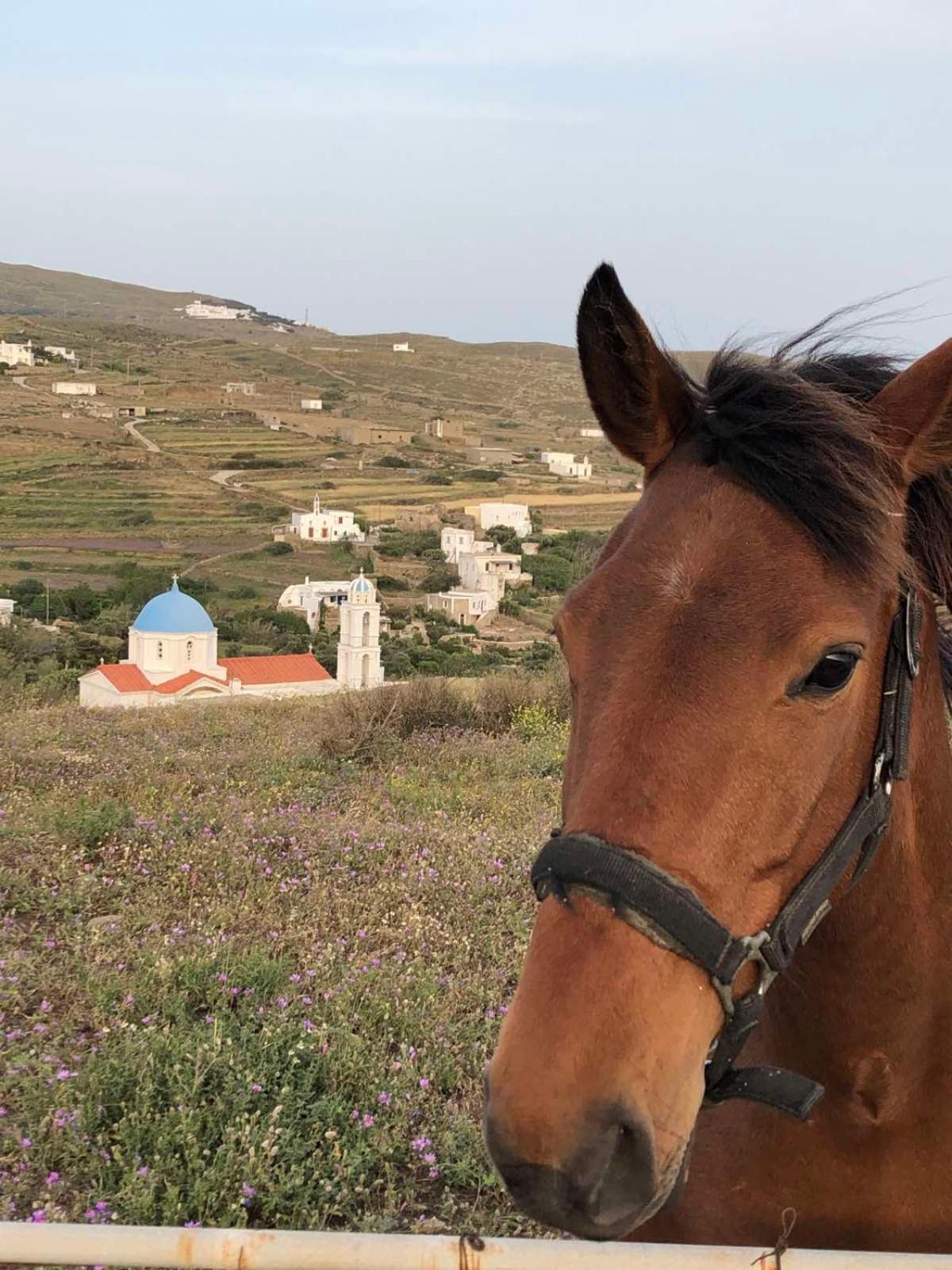Afrodite Hotel Tinos Exterior foto